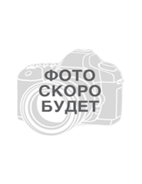Козиев Михаил Петрович