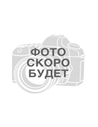 Фролова Елизавета Федоровна