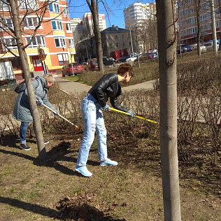 Субботник 2019 - Фотография 15