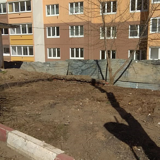 Субботник 2019 - Фотография 2