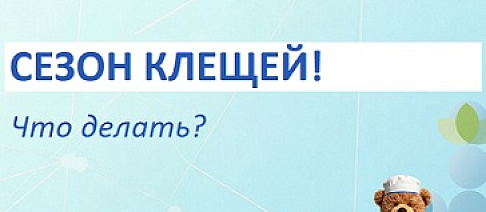 Сезон клещей! Что делать?