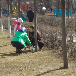 Субботник 2019 - Фотография 12