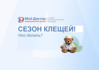 Сезон клещей! Что делать?
