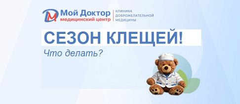 Сезон клещей! Что делать?
