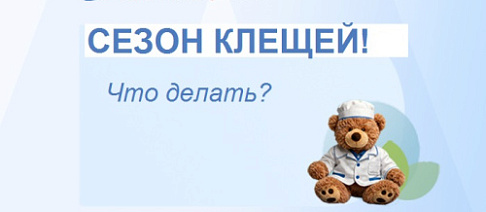 Сезон клещей! Что делать?