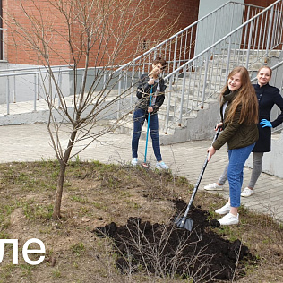 Субботник 2019 - Фотография 18